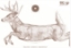 Picture of Big Woods Bucks "Running Buck" Target  - 3 Pack w/ Replacement Stickers