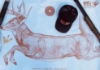 Picture of Big Woods Bucks "Running Buck" Target  - 3 Pack w/ Replacement Stickers