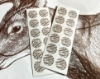 Picture of Big Woods Bucks "Running Buck" Target  - 3 Pack w/ Replacement Stickers