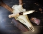 Picture of Big Woods Bucks Edition "Heritage" Knife